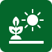 icon 3.png